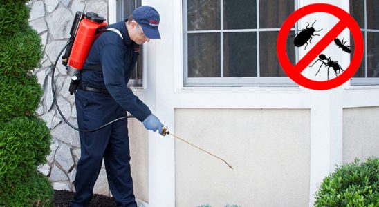 Boztepe Kemirgen İlaçlama böcek ilaçlama ve haşere kontrolü — ilaclama-tr.com